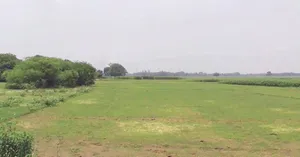 Chouslakulmi, Madhya Pradesh, India preview 3
