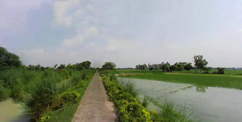 Barnagar, Madhya Pradesh 456771, India preview 2