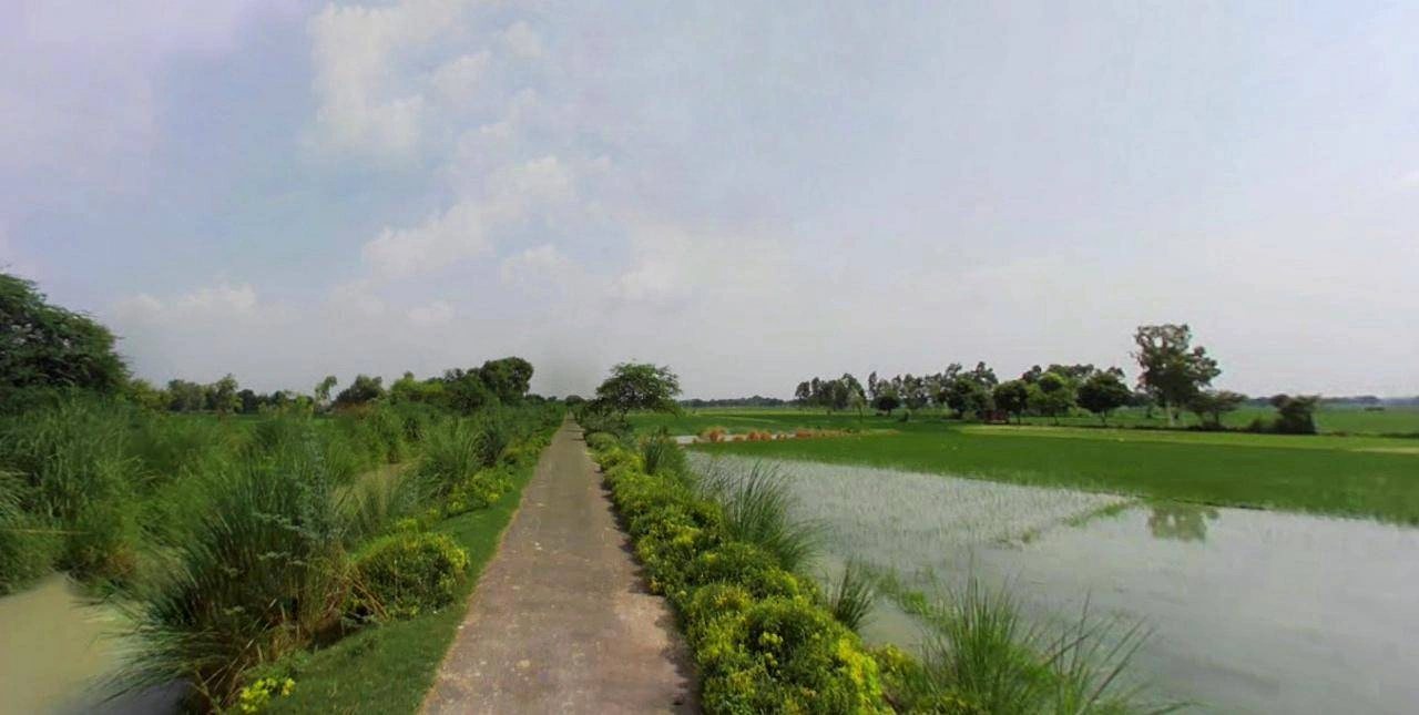 Barnagar, Madhya Pradesh 456771, India