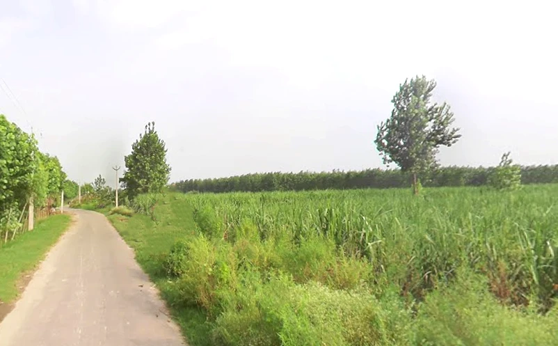 Sarsawa, Uttar Pradesh 247232, India