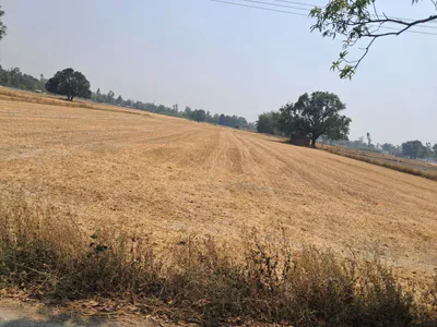 Q5MF+WP6, Kosi Parikrama Rd, Amanigunj, Faizabad, Uttar Pradesh 224001, India preview 3