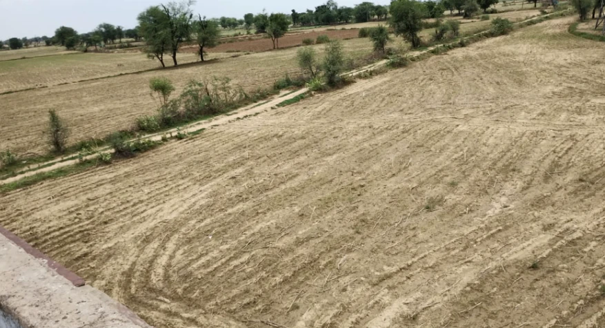 Ghilot, Rajasthan 301705, India