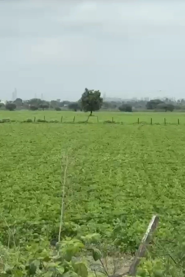 Lebad, Madhya Pradesh 454773, India