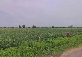 Shyampura, Rajasthan 311606, India preview 2