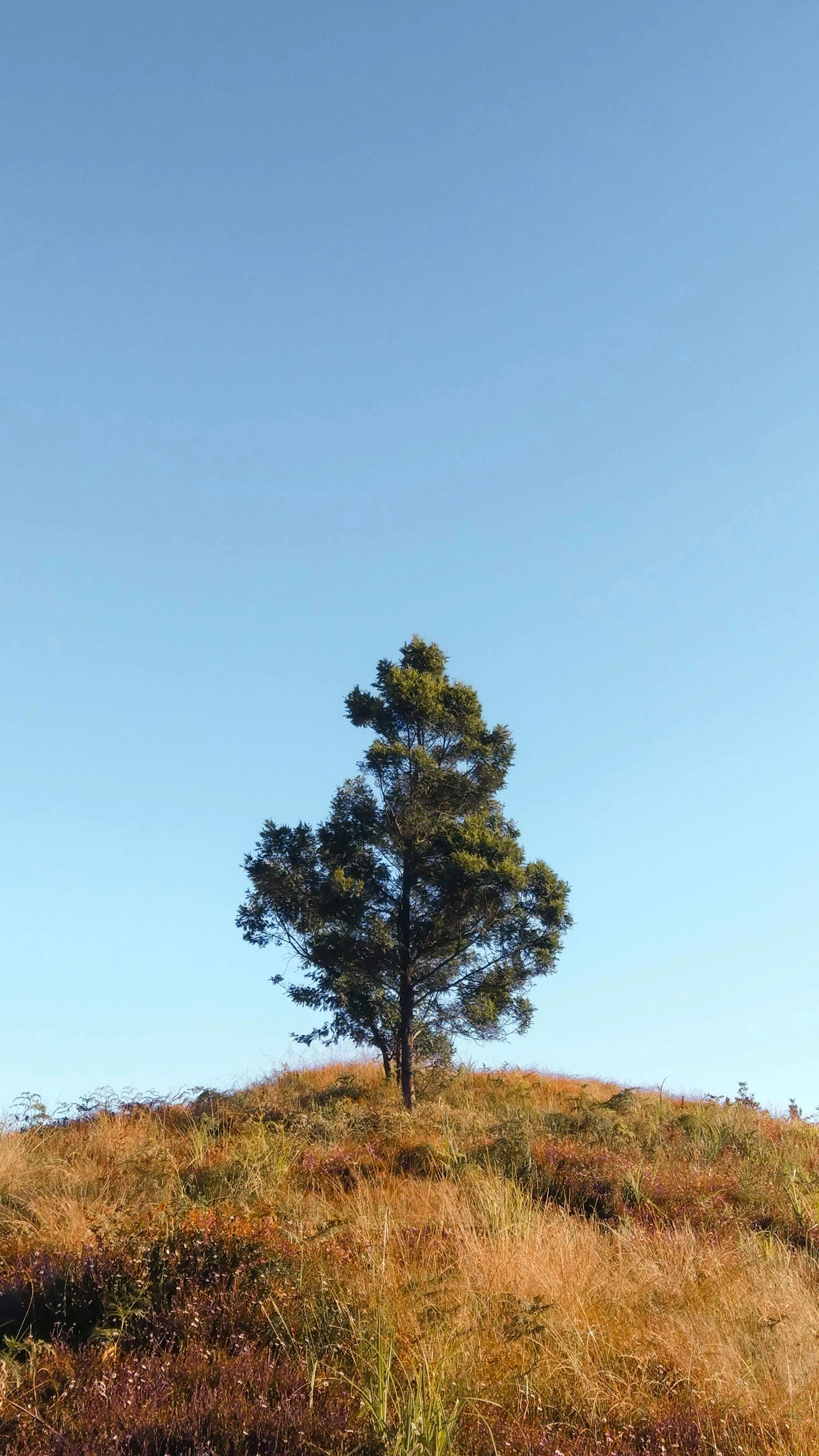 Jind, Haryana, India