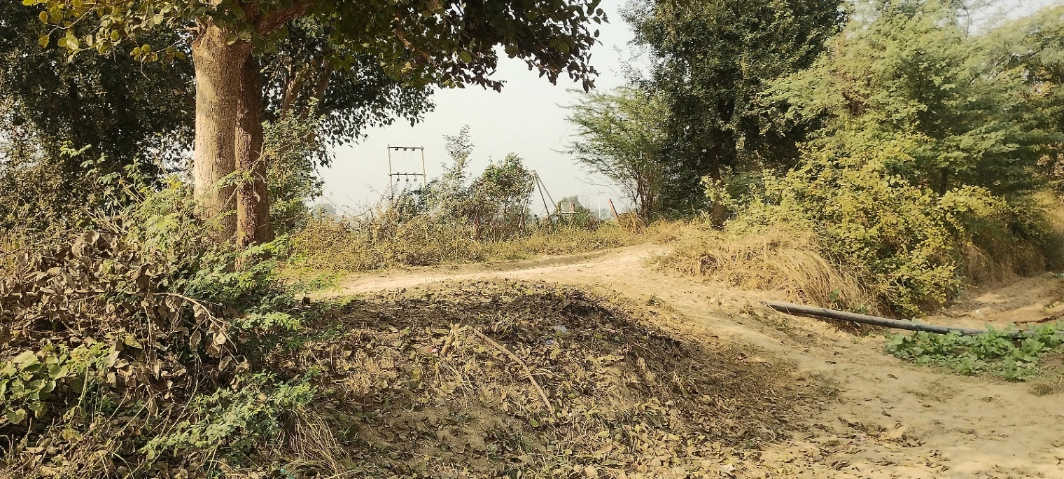 Deeg, Rajasthan 321203, India