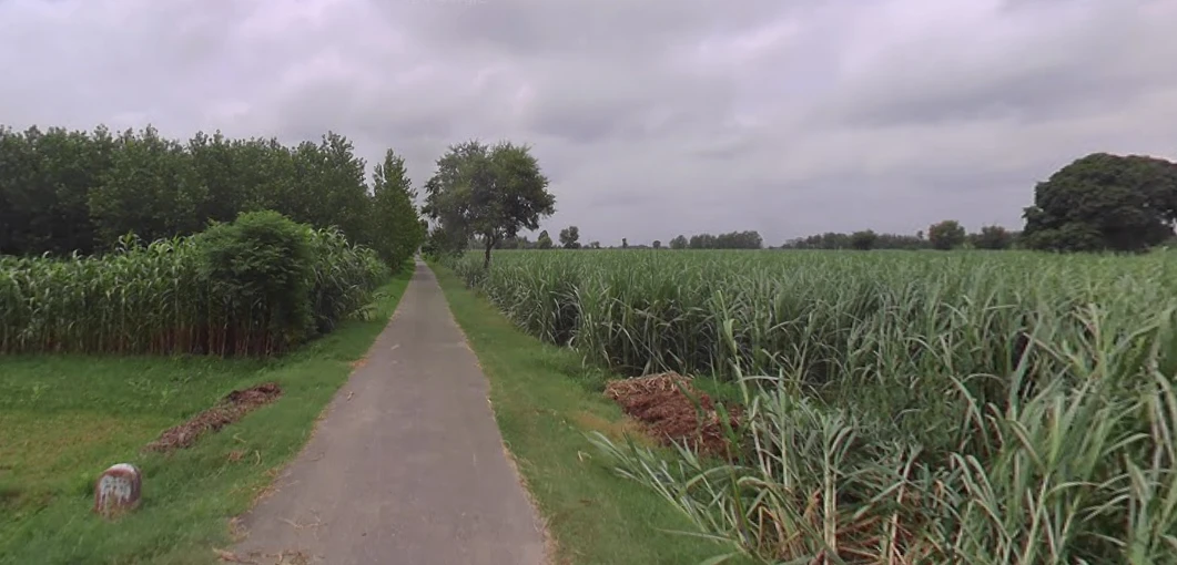 Jansath, Uttar Pradesh 251314, India