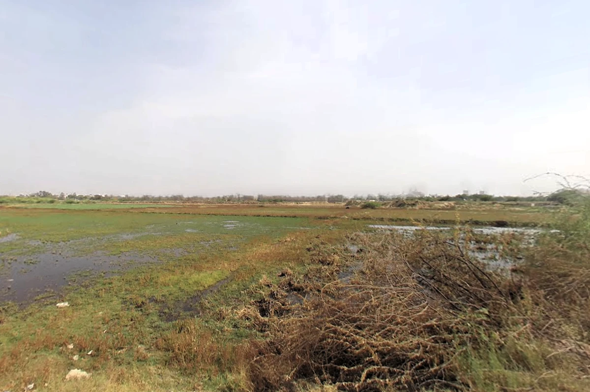 Sector 101, Gurugram, Haryana 122006, India