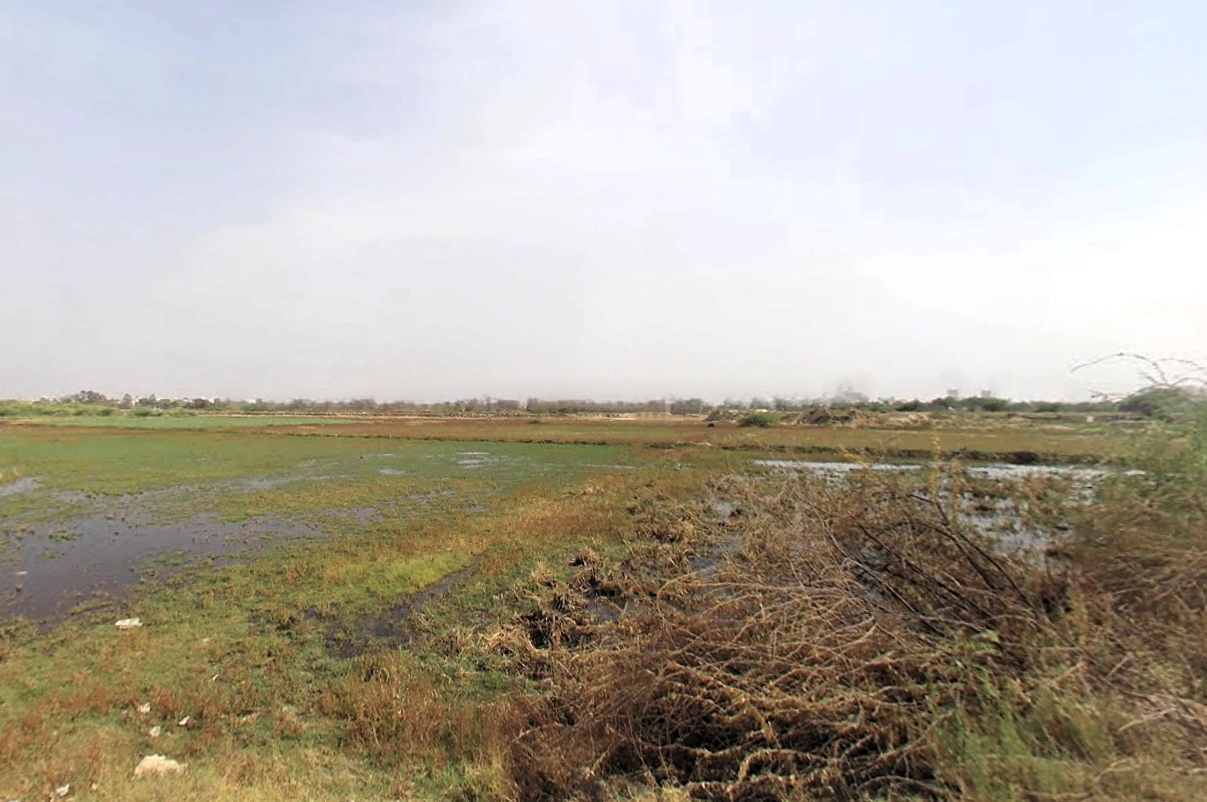 Sector 101, Gurugram, Haryana 122006, India