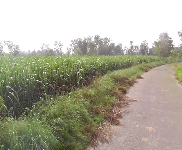 Badshahpur, Uttar Pradesh, India