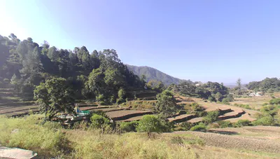 Maldevta Road, Danda Gaon, Uttarakhand, India preview 2