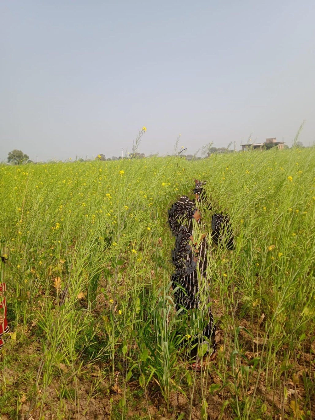 Mahokhar, Uttar Pradesh 210001, India