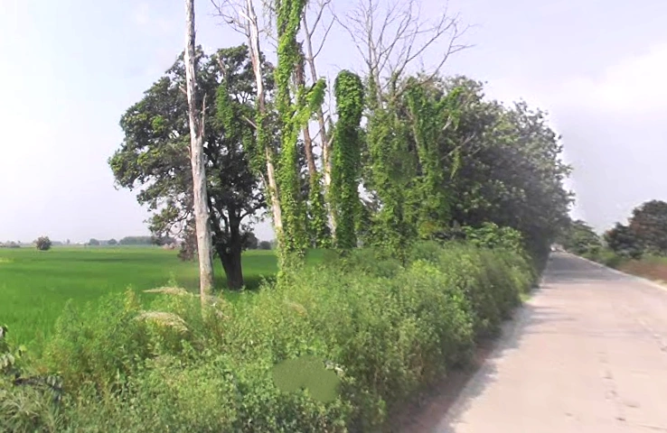 Janipur, Uttar Pradesh 247129, India