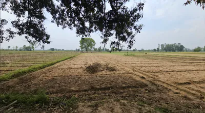 Gunsi, Rajasthan 304021, India preview 2