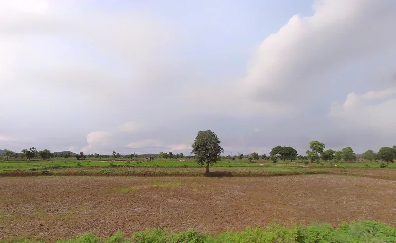 Kalartarai, Chhattisgarh 495113, India preview 2