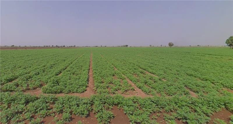 Kelshi, Maharashtra 415717, India