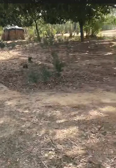 Khariberia, West Bengal 721635, India preview 3