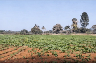 7JR9+7F Doddagollahalli, Karnataka, India preview 4