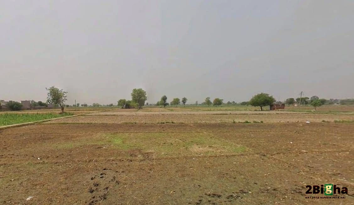 RH77+3MJ Kalchhina, Road, Sikri Khurd, Modinagar, Uttar Pradesh 245304, India