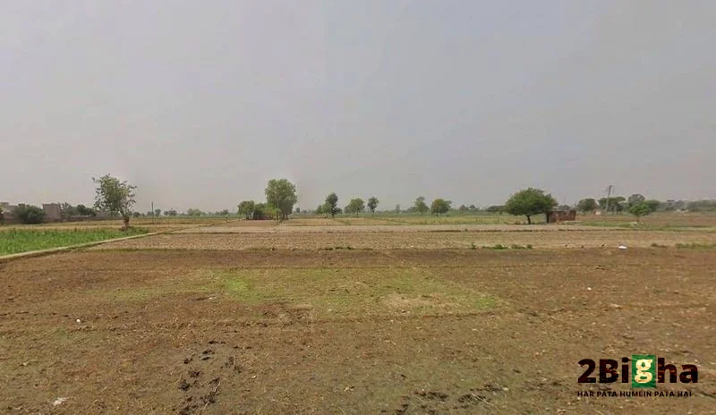 RH77+3MJ Kalchhina, Road, Sikri Khurd, Modinagar, Uttar Pradesh 245304, India preview 3