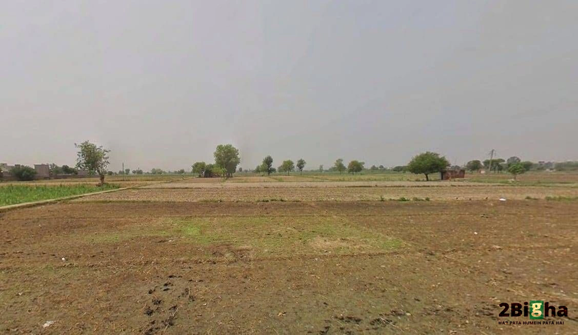 RH77+3MJ Kalchhina, Road, Sikri Khurd, Modinagar, Uttar Pradesh 245304, India