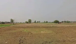 RH77+3MJ Kalchhina, Road, Sikri Khurd, Modinagar, Uttar Pradesh 245304, India preview 3