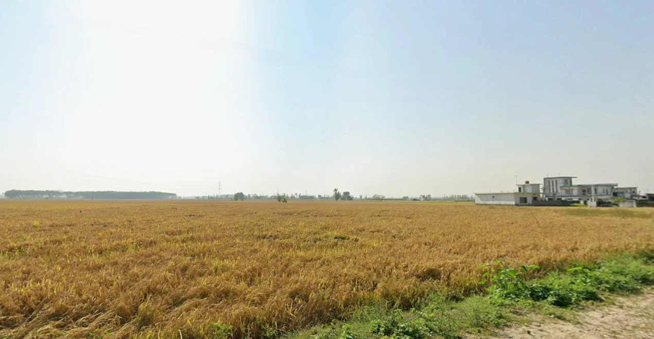 Chilli, Himachal Pradesh 177042, India