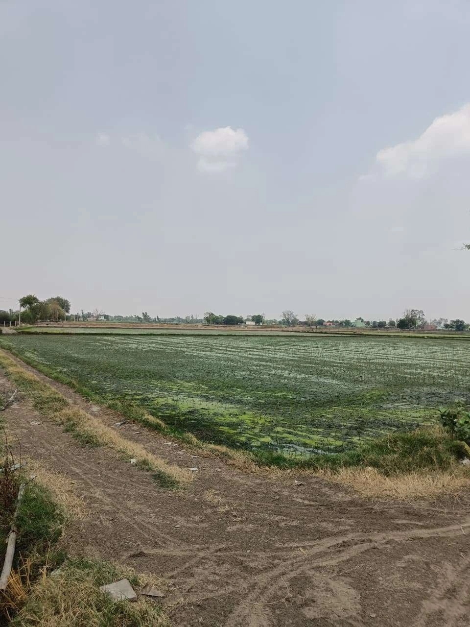 Gharwari, Rajasthan 321201, India