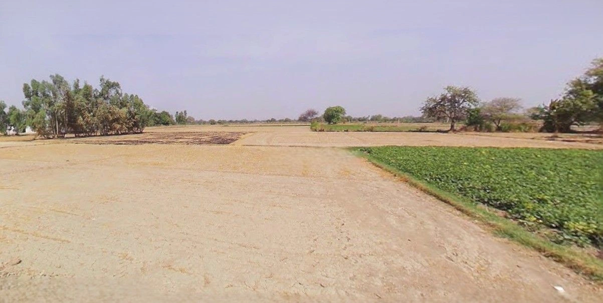 Timarni, Madhya Pradesh 461228, India