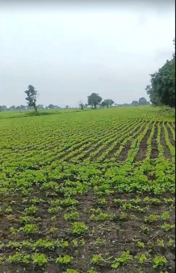 3FH2+FF9, Untwas, Madhya Pradesh 456771, India