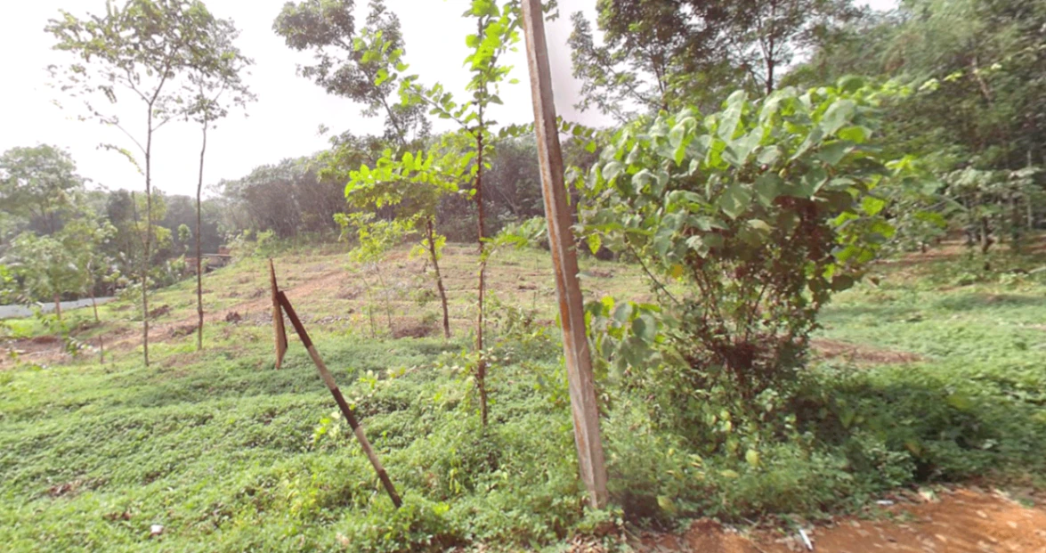 S No 1087/1C, Road, Mamankara, Marutha, Vazhikkadavu, Kerala 679333, India