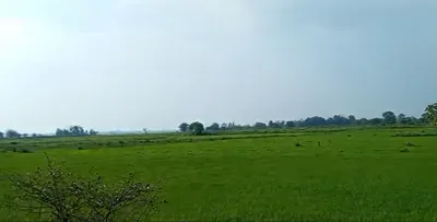 Jhiwana, Rajasthan, India preview 2
