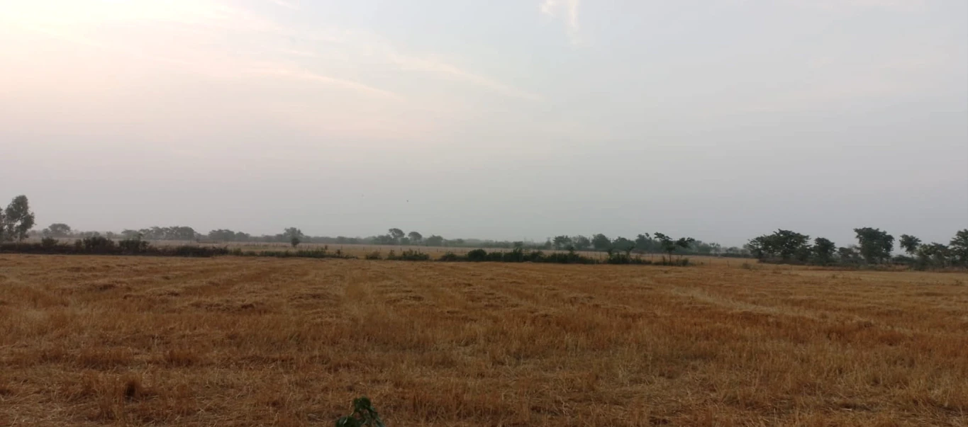 Barnagar, Madhya Pradesh 456771, India