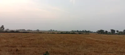 Barnagar, Madhya Pradesh 456771, India preview 3