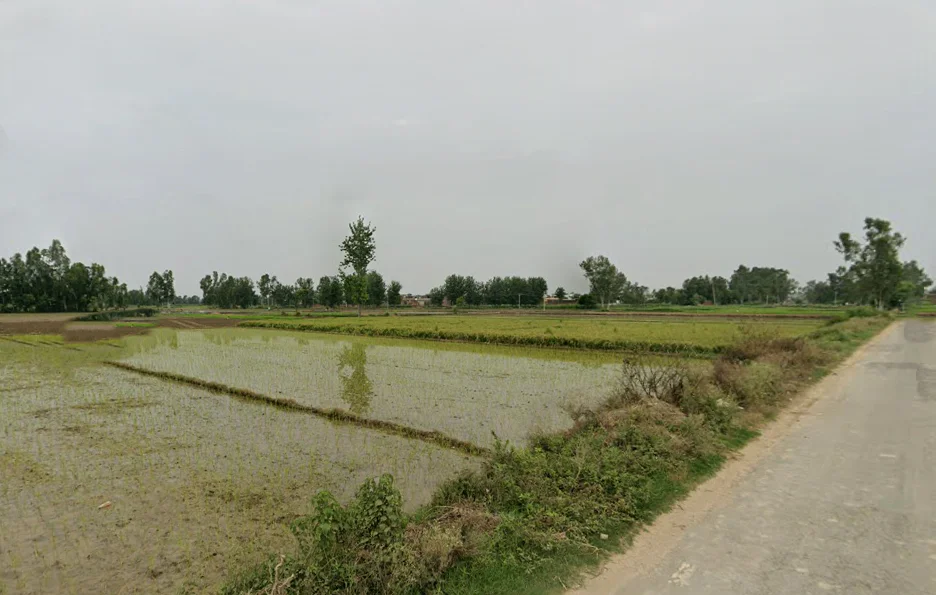 Dalpatpur, Uttar Pradesh 244104, India preview 2