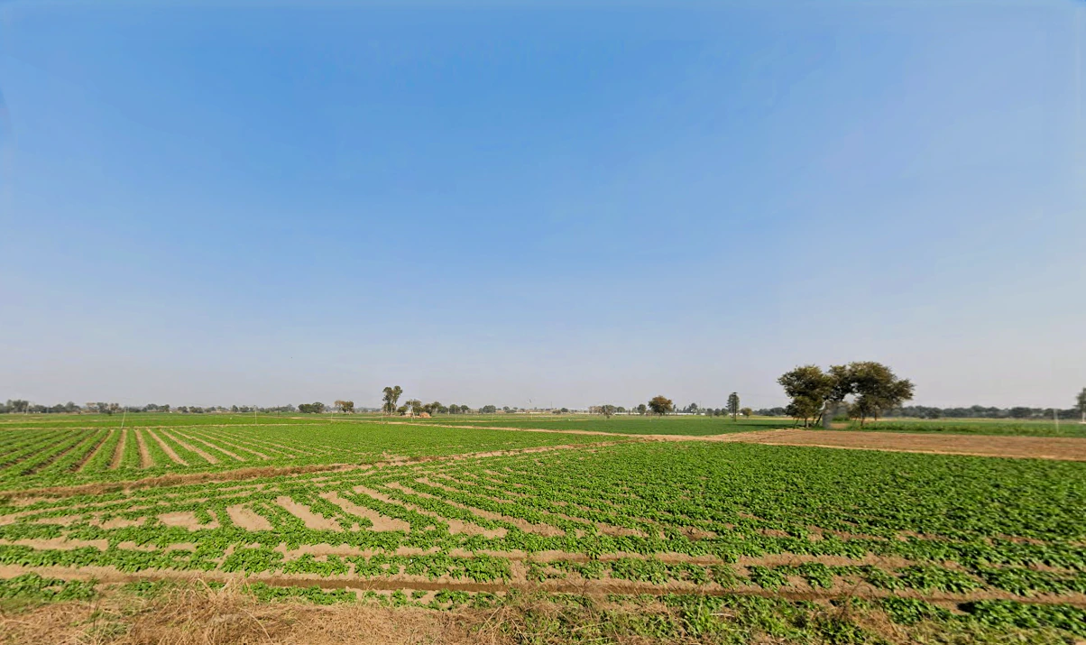 Barwa, Haryana 127045, India