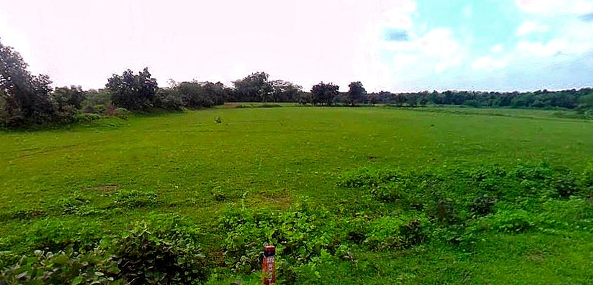 Jhusi, Uttar Pradesh 211019, India