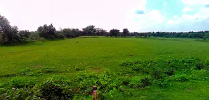 Jhusi, Uttar Pradesh 211019, India preview 2