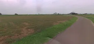 Mahu, Madhya Pradesh 456443, India preview 2