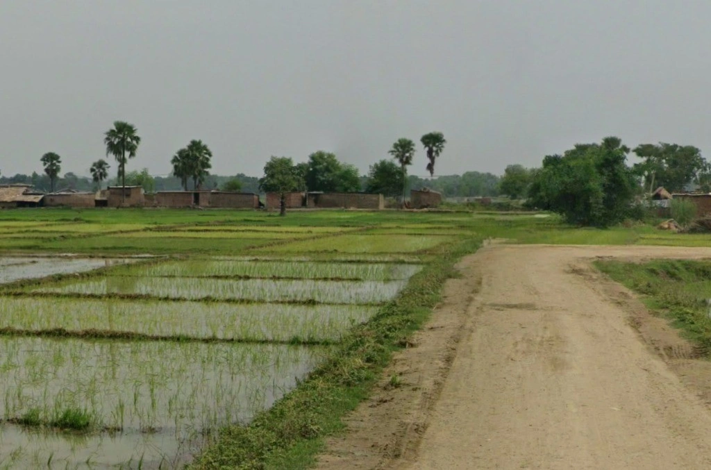 MC95+GGR, Deorbeeja, Chhattisgarh 491993, India