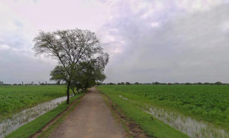 Suratgarh, Rajasthan 335804, India preview 3