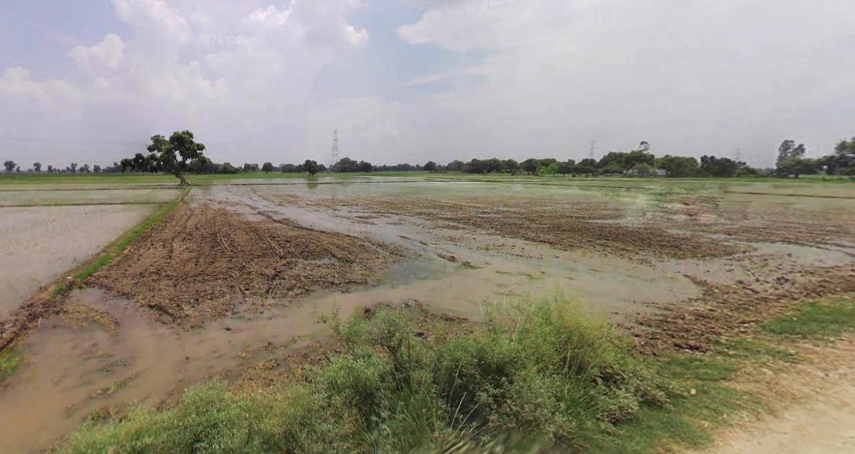 Sonipat, Haryana, India