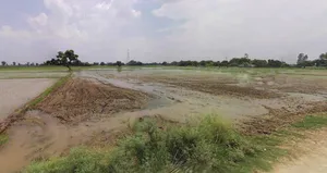Sonipat, Haryana, India preview 2