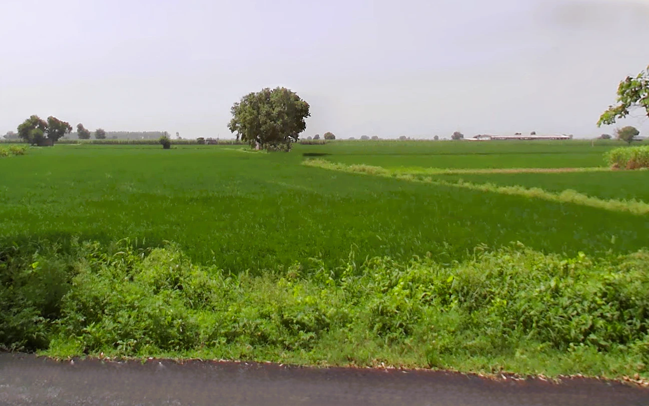 Jorasi, Haryana 132101, India