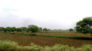 Unhel, Madhya Pradesh 456221, India preview 3