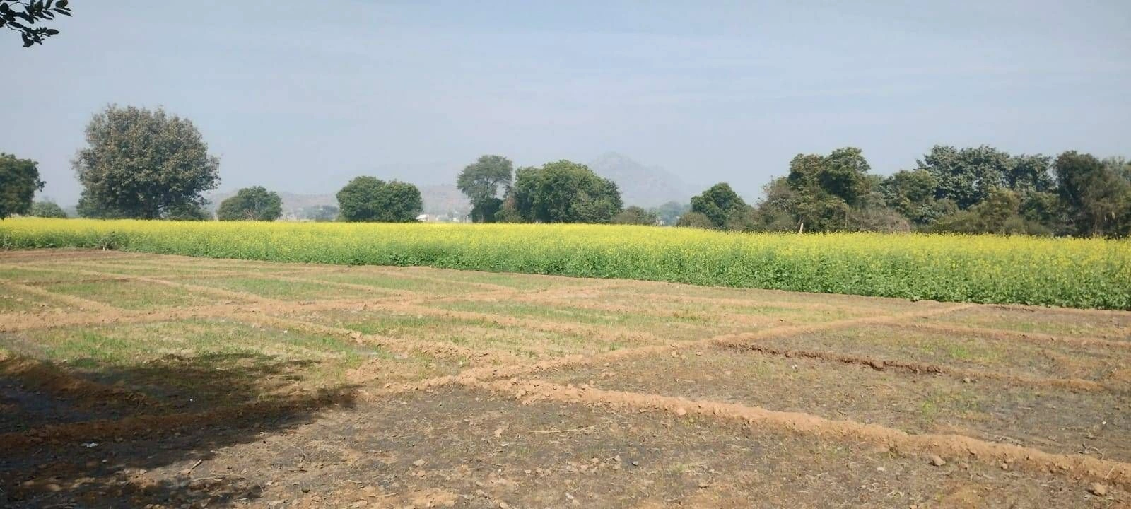 C555+RW Bandhwari, Haryana, India