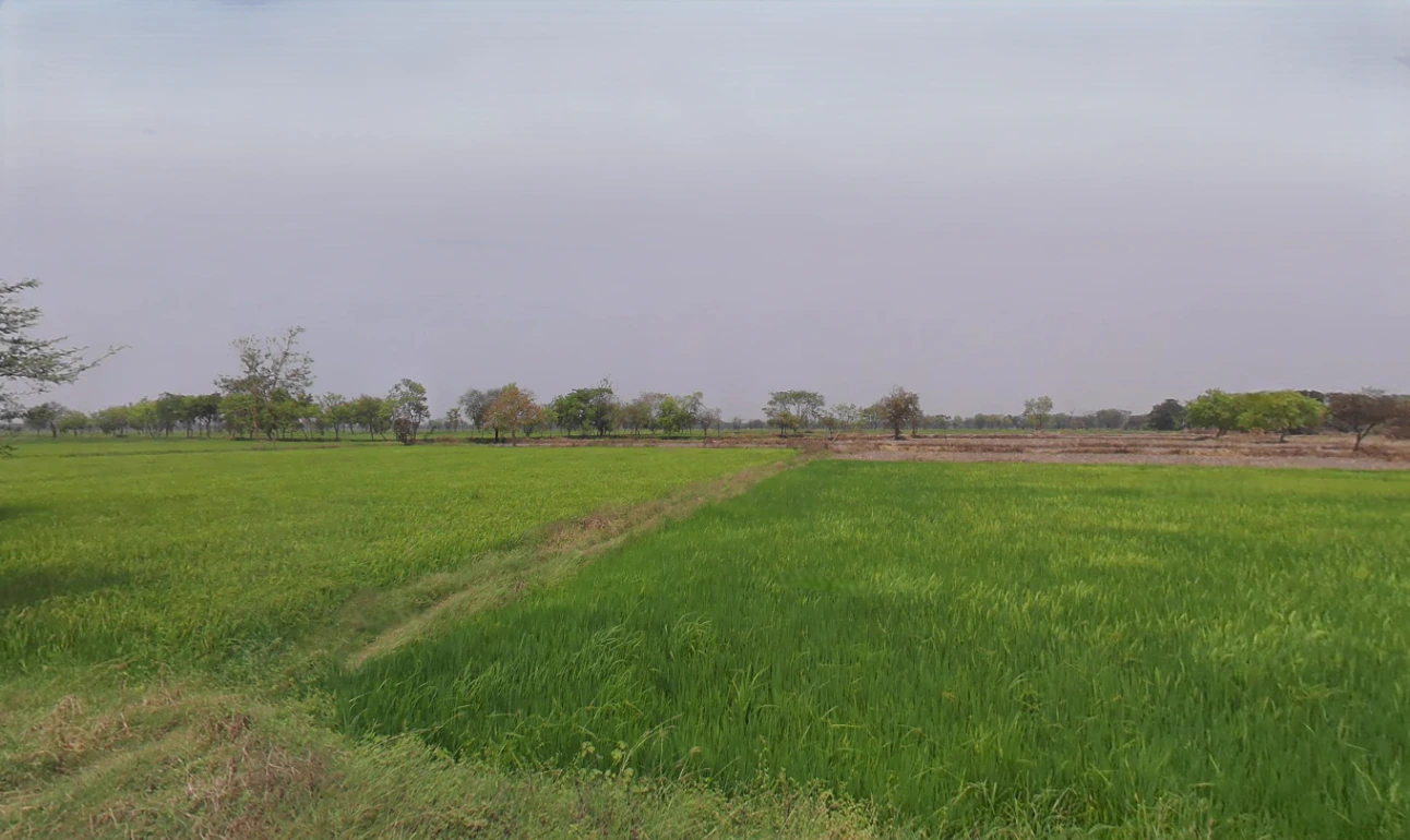 Dewada, Chhattisgarh 491443, India