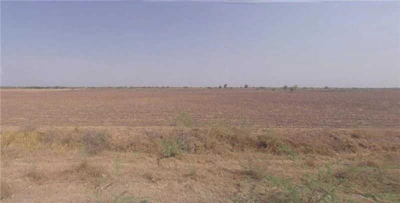 W648+W4 Kahona, Gujarat, India