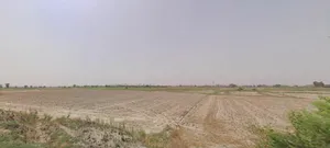 Murthal, Haryana, India preview 3