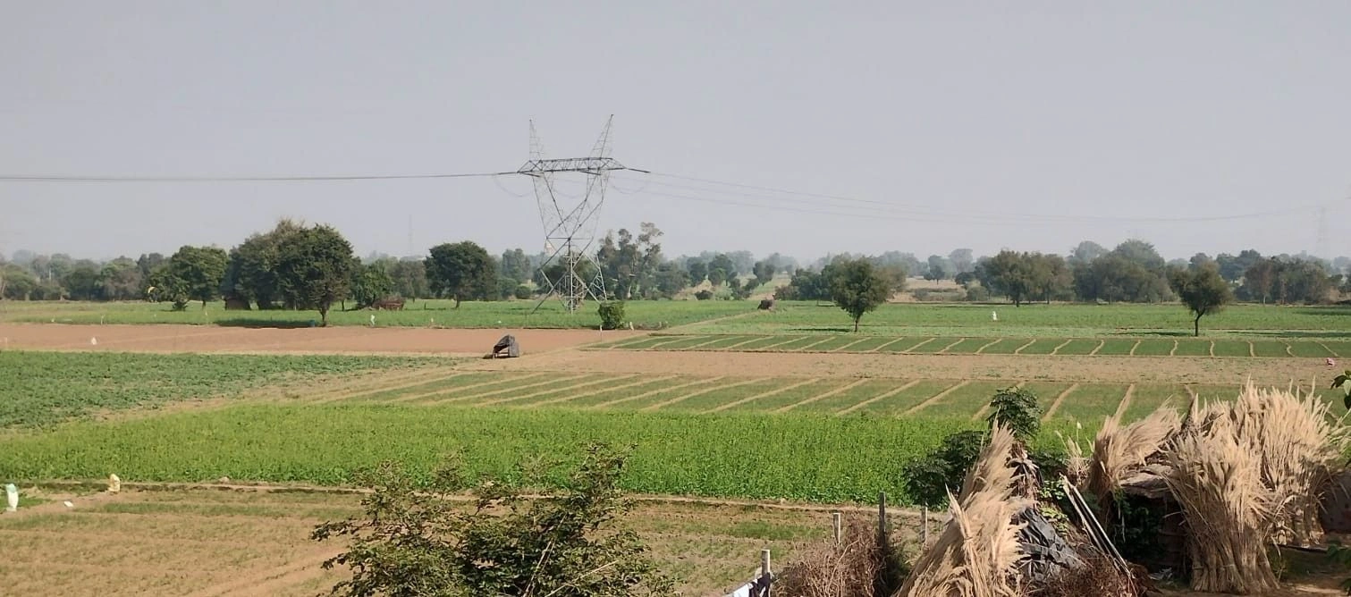 Ekarli, Rajasthan, India